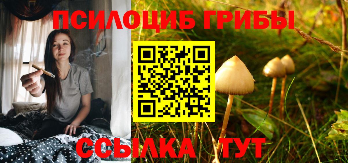 Псилоцибиновые грибы Cubensis Асбест